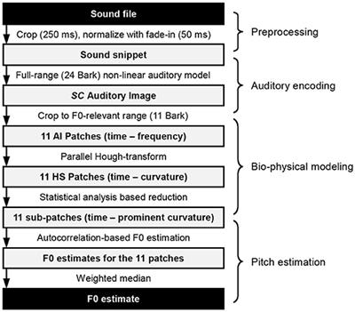 Modeling Pitch Perception With an Active Auditory Model Extended by Octopus Cells